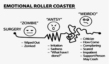 emotional roller coaster